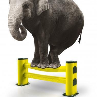 werkplekbeveiliging-olifant